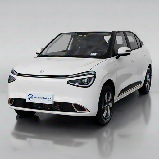 DONGFENG Nammi 01
