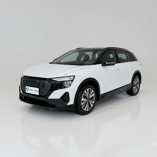 AUDI Q5 40 e-tron Shanyao